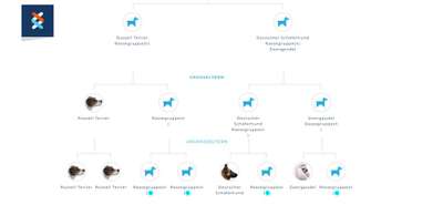 DNA-Tests-Beitrag-Bild