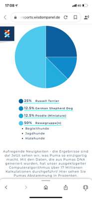 DNA-Tests-Beitrag-Bild