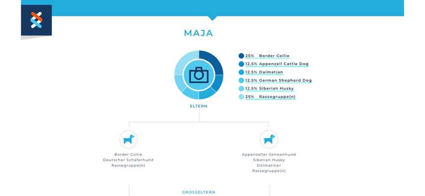 Rassetest-Beitrag-Bild