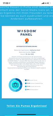 Rassetest-Beitrag-Bild