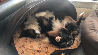 Die unbequemsten und lustigsten Schlafpositionen-Beitrag-Bild