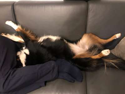 Die unbequemsten und lustigsten Schlafpositionen-Beitrag-Bild