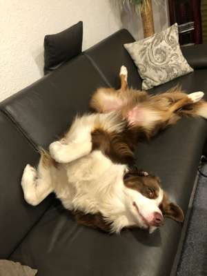 Die unbequemsten und lustigsten Schlafpositionen-Beitrag-Bild