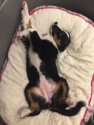 Die unbequemsten und lustigsten Schlafpositionen-Beitrag-Bild