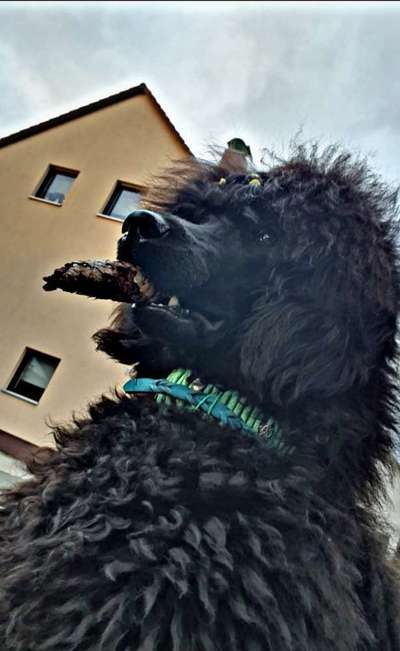 Fotochallange Nr. 57     PORTRÄT.   Beendet!!!!!!!!-Beitrag-Bild