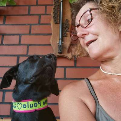 Hundetreffen-Gassi gehen, spielen, trainieren