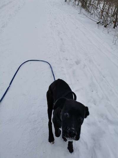 Dogorama Photo Challenge - Es wird nochmal kalt!-Beitrag-Bild