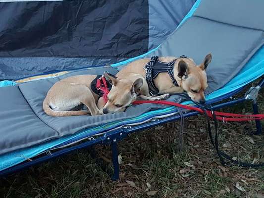 Fotochallenge Nr. 94 It's summer time-Beitrag-Bild