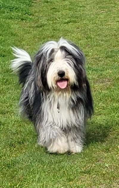 Dogorama Photo Challenge - Frühlingserwachen-Beitrag-Bild