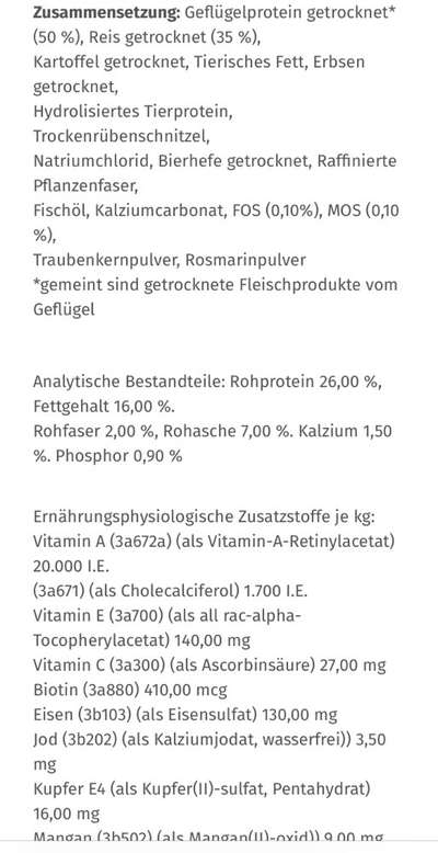 Windhunde - Treffen der besonderen Schönheiten
HERZLICH WILLKOMMEN-Beitrag-Bild