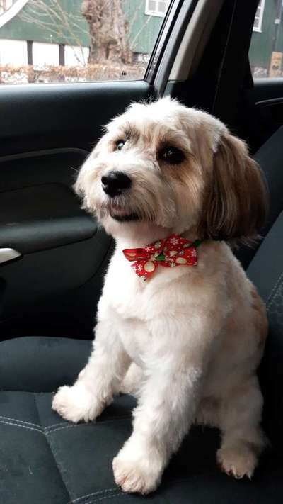 117. Fotochallenge-Beitrag-Bild