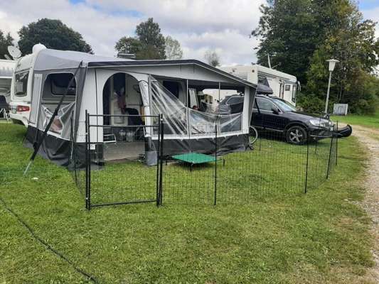 Zaun für Camping mit Hund.-Beitrag-Bild