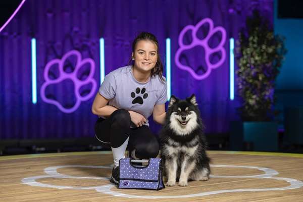 Pomsky-Beitrag-Bild