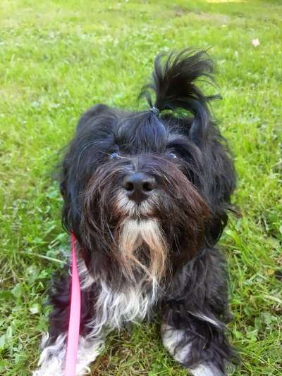 Doppelgänger gesucht !-Beitrag-Bild