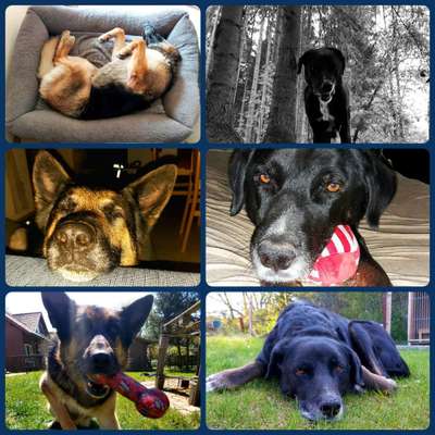 Lustige Grimassen & verrückte Posen-Beitrag-Bild