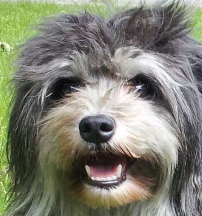 Fotochallange Nr. 57     PORTRÄT.   Beendet!!!!!!!!-Beitrag-Bild