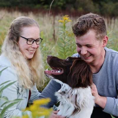 Hundetreffen-Gassirunde ohne direkten Hundekontakt