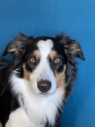 Lieblingsbild-Beitrag-Bild