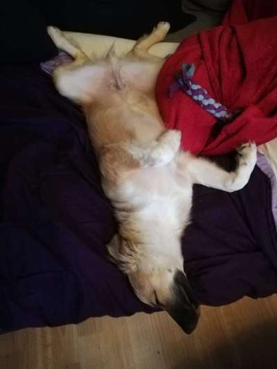 Die unbequemsten und lustigsten Schlafpositionen-Beitrag-Bild