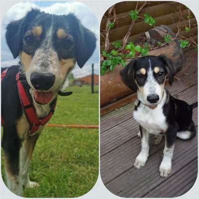 Vorher.... Nachher-Beitrag-Bild