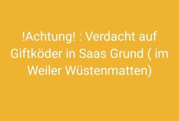 Giftköder-Verdacht auf Giftköder-Bild