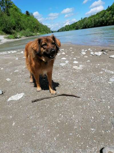 Dogorama-Monats-Challenge-Mai "Wasser"-Beitrag-Bild