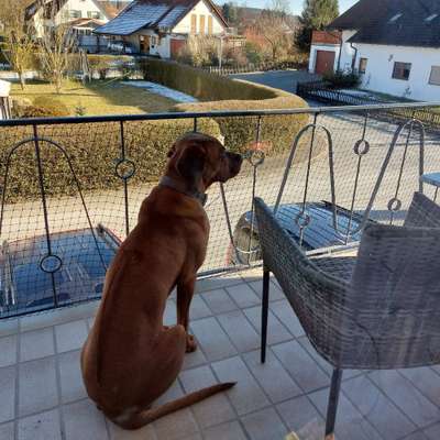 Ernährungsberater-Wolfgang & Michela Pfister-Bild