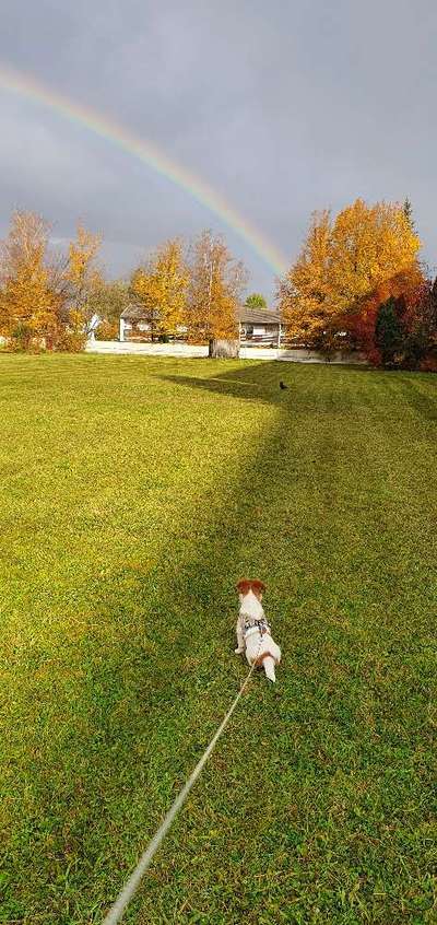 Fotochallenge Nr. 62 Romantische Momente-Beitrag-Bild