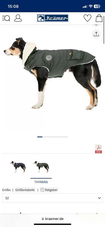 Hundejacke mit Füllung und wasserdicht-Beitrag-Bild