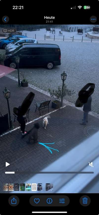 Giftköder-Freilaufender Hund/Frauenfeindlicher Herr-Bild