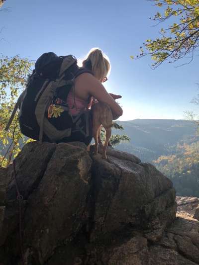 Fotochallenge Nr. 67: Euer Lieblingsbild-Beitrag-Bild