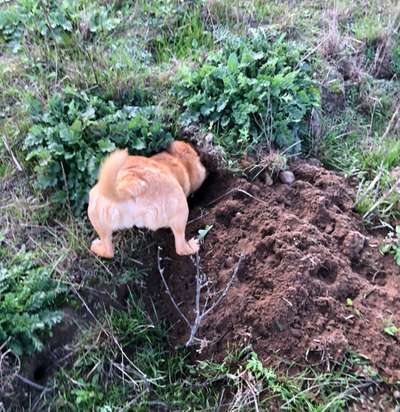 Fotochallenge 129-Beitrag-Bild