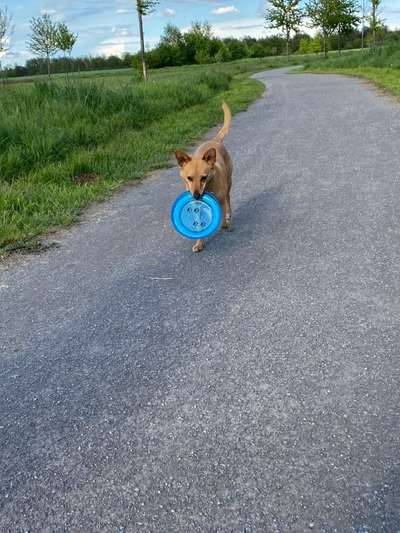 Fotochallenge Nr. 64-Beitrag-Bild