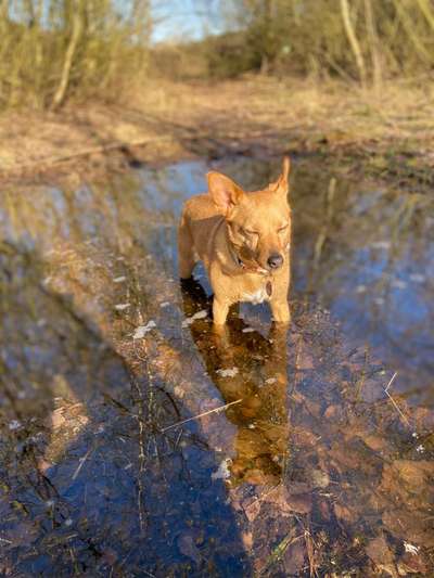 Liebling ,richtig in Szene setzen-Beitrag-Bild