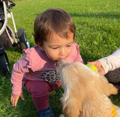FOTOCHALLENGE 68: Dein Hund und sein bester Freund-Beitrag-Bild