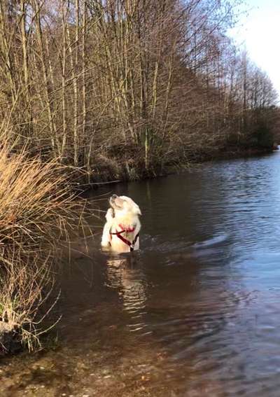 FOTOCHALLANGE NR.71 BADEFREUDE-Beitrag-Bild