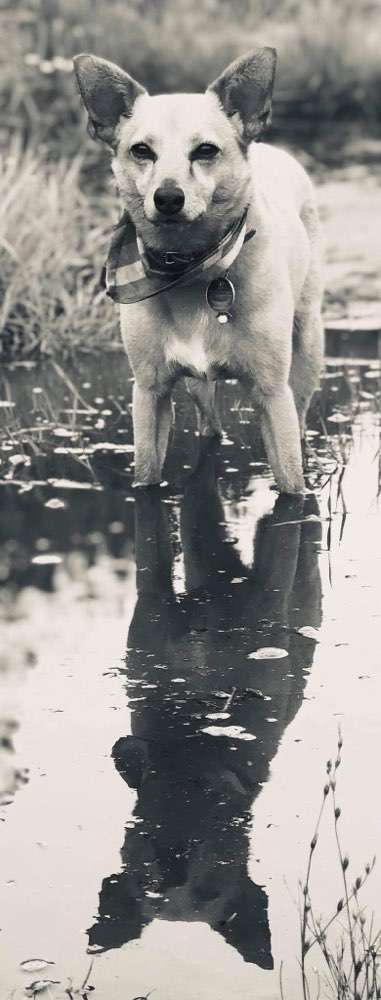 Fotochallenge 88-Beitrag-Bild