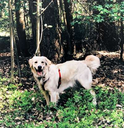 Foto Challenge Nr. 79-Beitrag-Bild