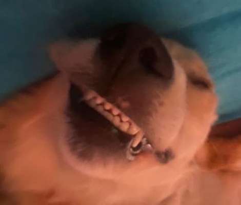 Her mit dem Grimassen-Beitrag-Bild