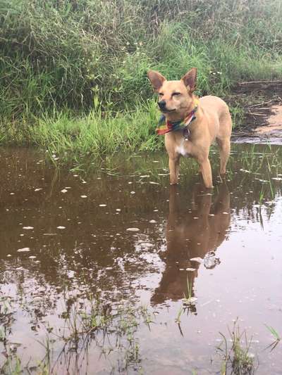 FOTOCHALLANGE NR.71 BADEFREUDE-Beitrag-Bild