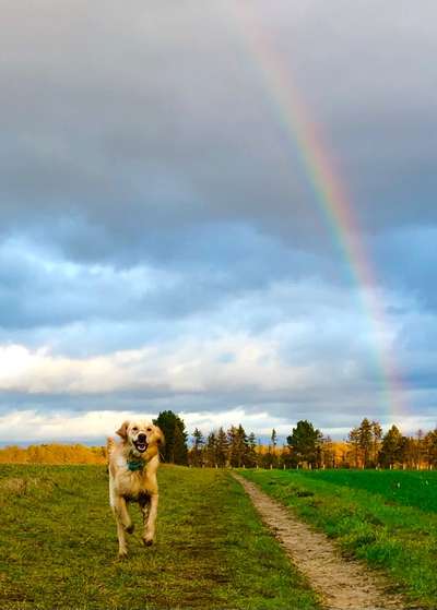 118. Fotochallange-Beitrag-Bild