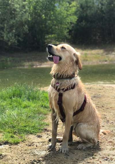 Tongue Out Tuesday-Beitrag-Bild