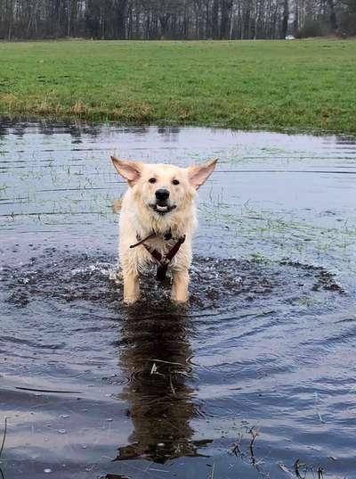 Fotochallenge Nr. 67: Euer Lieblingsbild-Beitrag-Bild