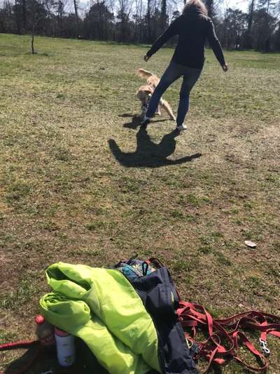 41. Handy Fotochallenge - Euer gemeinsames Hobby-Beitrag-Bild