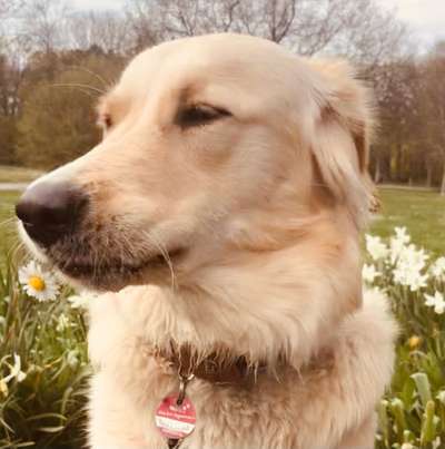 Fotochallenge 78

Es grünt und blüht-Beitrag-Bild