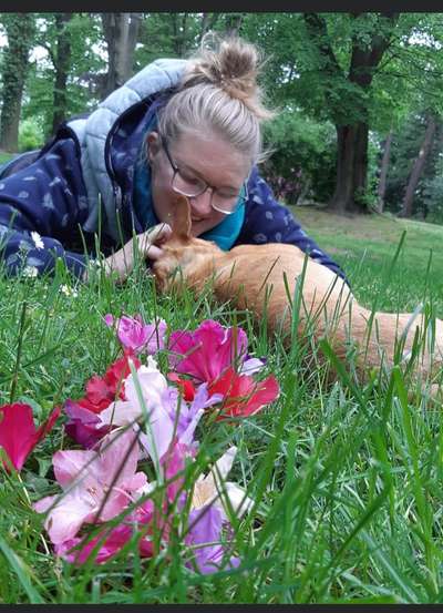 Fotochallenge 78

Es grünt und blüht-Beitrag-Bild