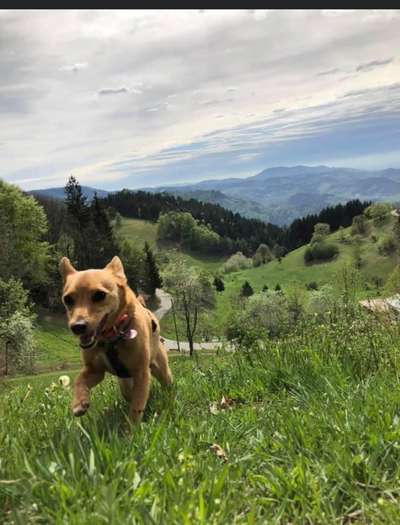 Fotochallenge Nr 107-Beitrag-Bild