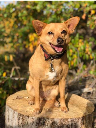 Fotochallenge Nr.122-Beitrag-Bild