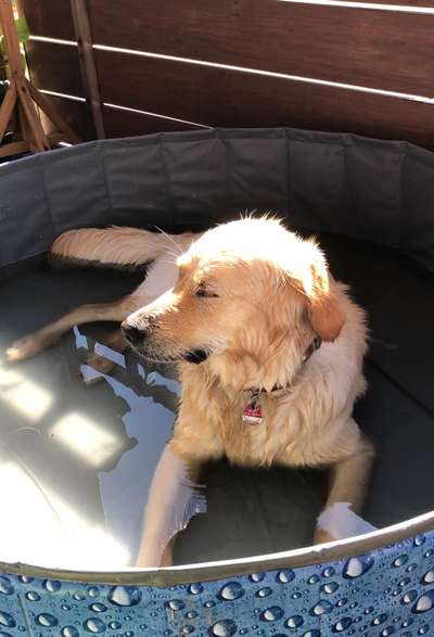 Fotochallenge Nr. 94 It's summer time-Beitrag-Bild