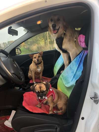 117. Fotochallenge-Beitrag-Bild